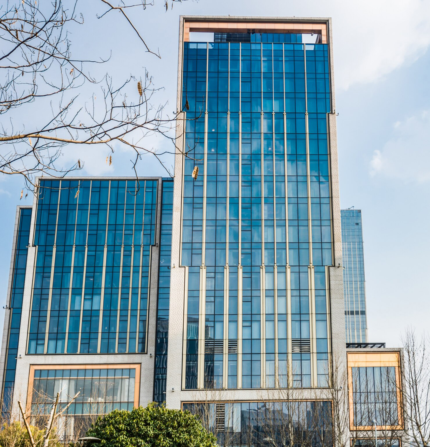 Business Team Collaboration